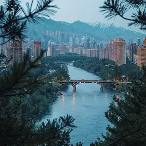 上港集团 公司介绍