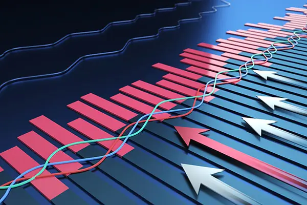 化氏鱼饵公司介绍